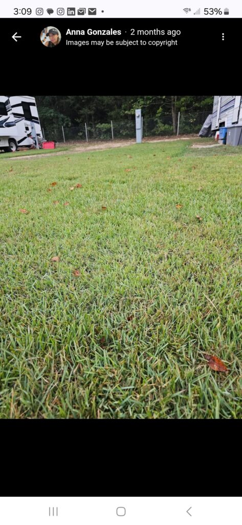 experience quite country living at enders rv park (13)